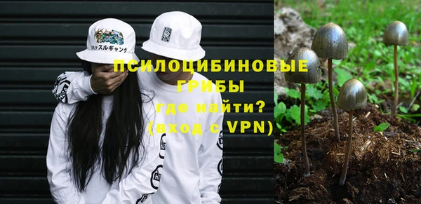 крисы Аркадак