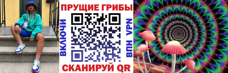 нарко площадка официальный сайт Новомосковск Галлюциногенные грибы ЛСД kraken рабочий сайт