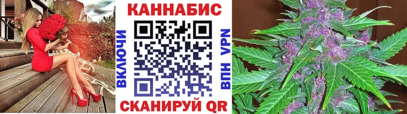 Марихуана OG Kush Новомосковск